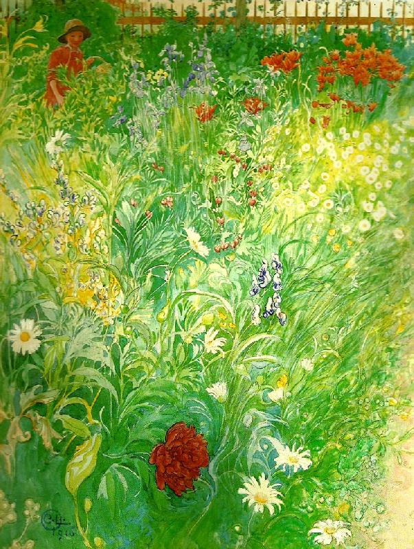 blommor-sommarblommor, Carl Larsson